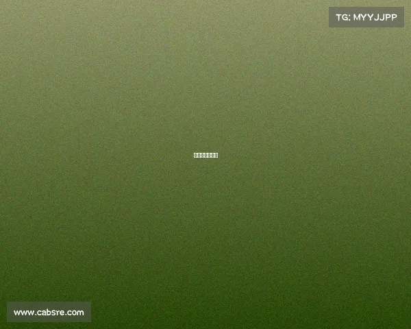 德鲁联赛是什么