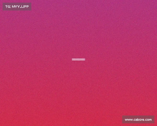 拉丁锦标赛是什么档次